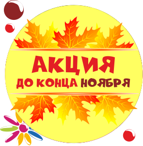 Акция до конца ноября!