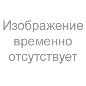 Тихон Калужский (21х24), простой киот