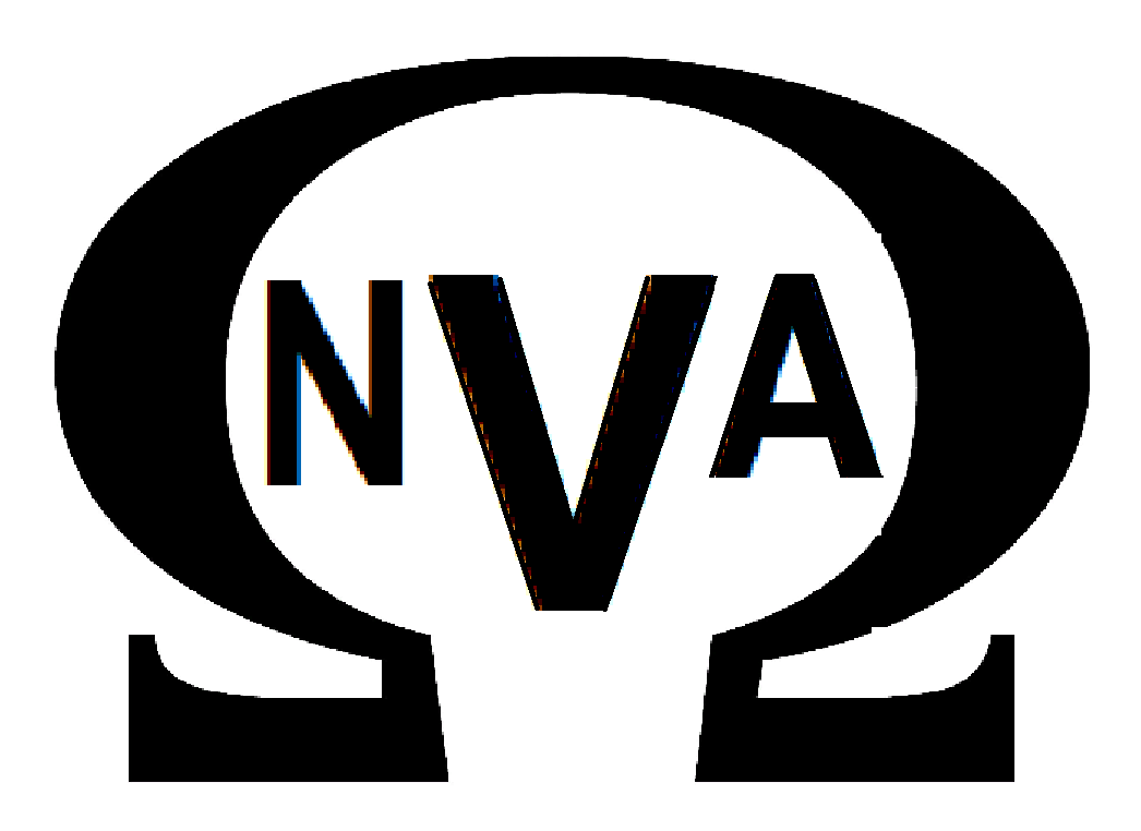 Компания NVARU