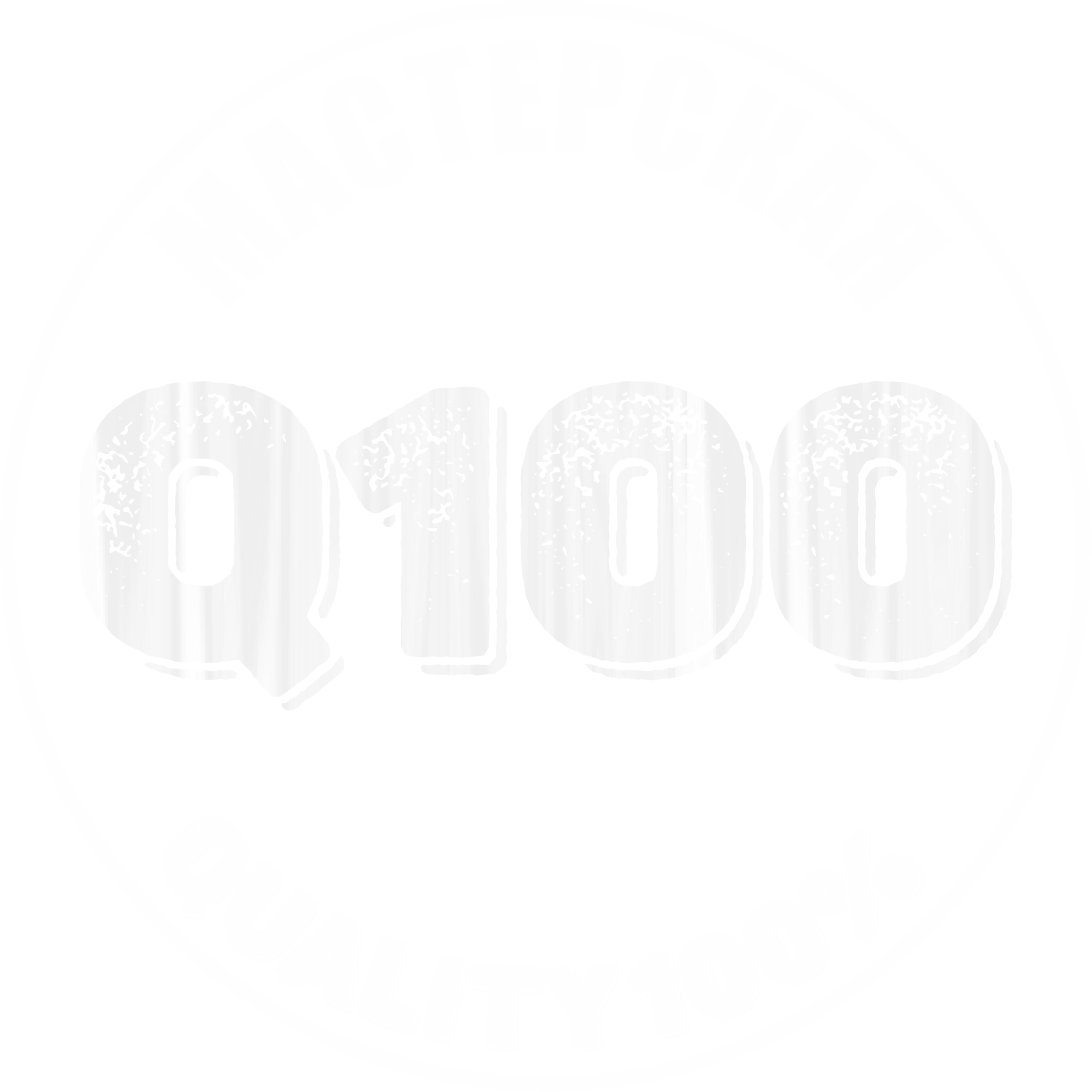 Мастерская Q100